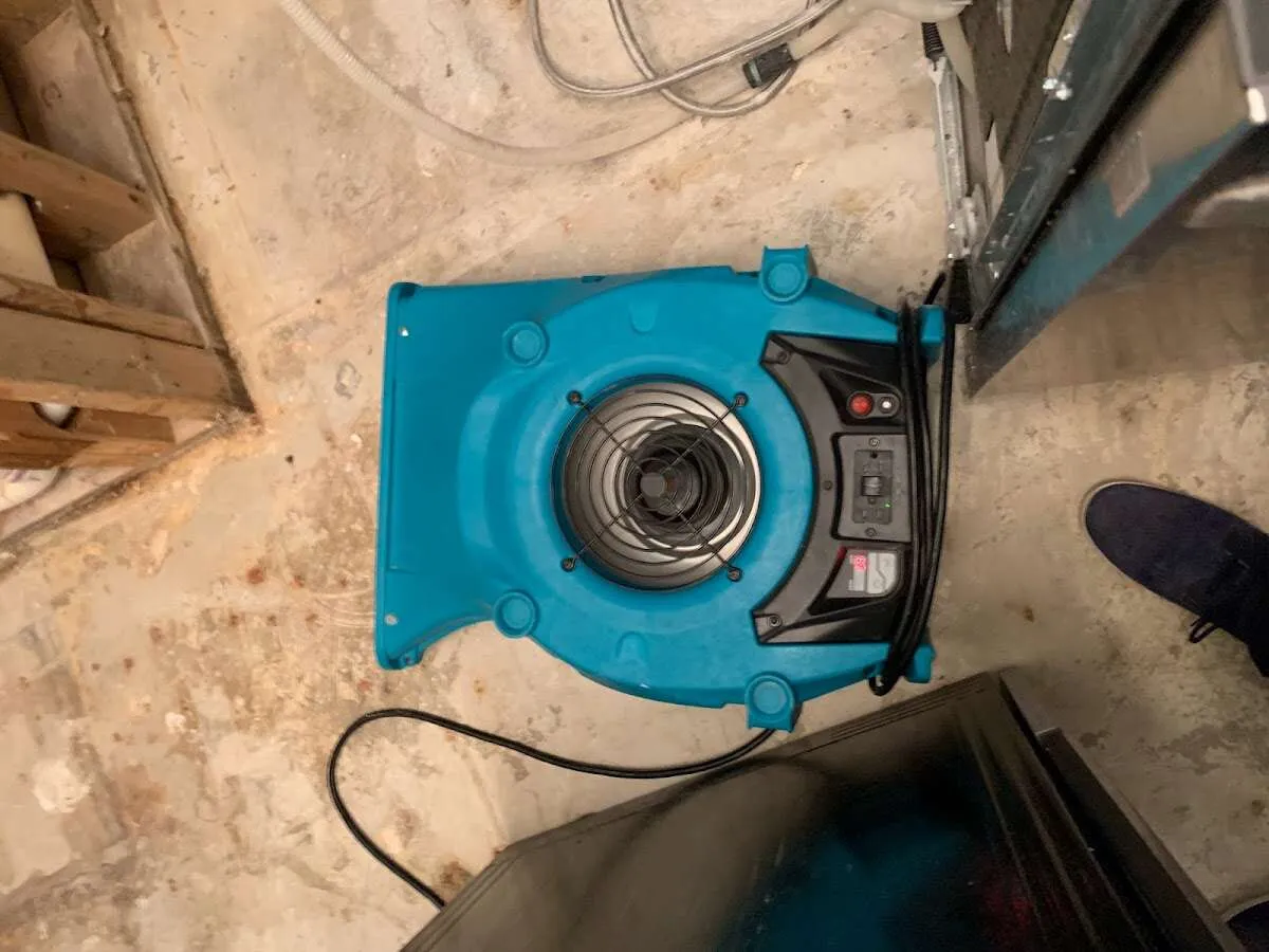 Air mover drying equipment for Mold Remediation & Removal in Kokomo